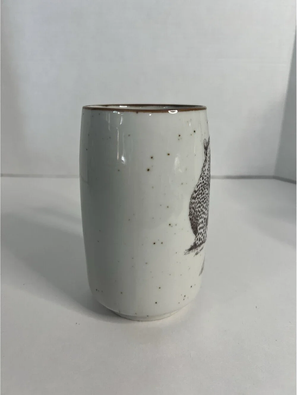 Otagiri GrandMugs San Diego Zoo Wild Animal Park Leopard Steins